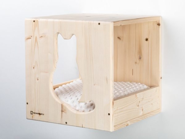 CUBO GATTO