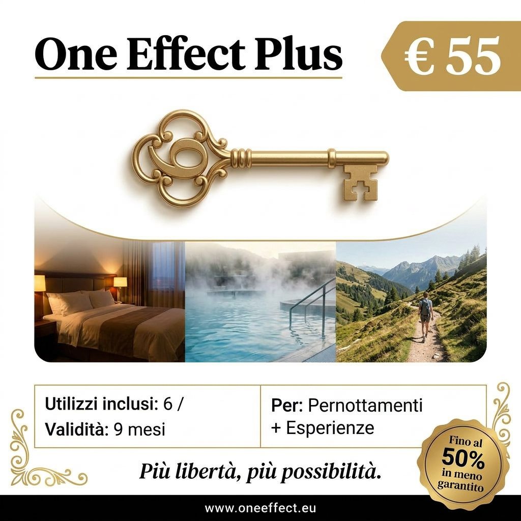 ONE EFFECT PLUS