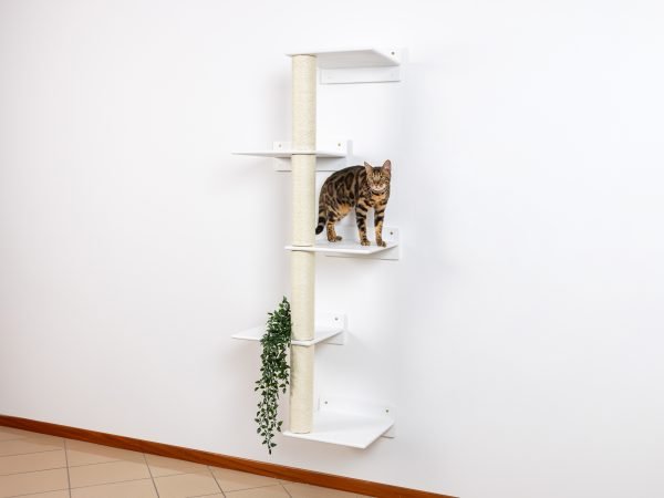 ALBERO TIRAGRAFFI