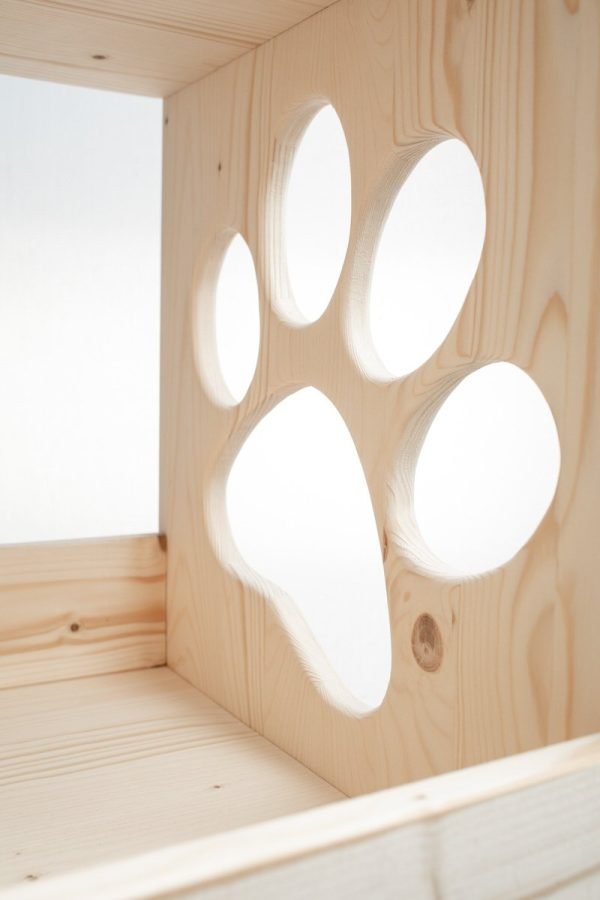 CUBO ZAMPA