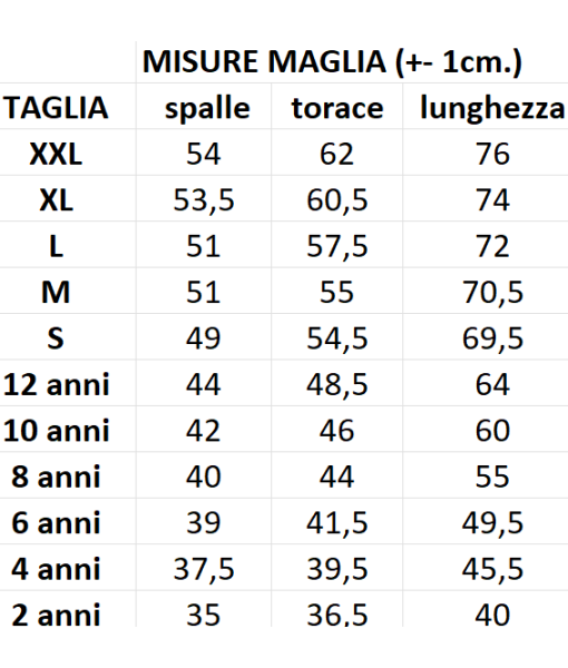 MAGLIA BARELLA INTER UFFICIALE 24-25 ADULTO e BAMBINO