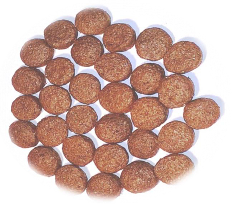 GRAIN FREE CAVALLO E PATATE MONOPROTEICO