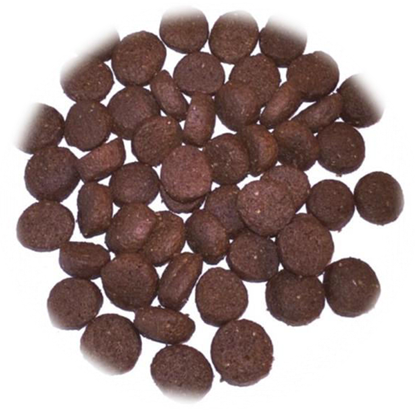 GRAIN FREE SINGLE PROTEIN TROUT