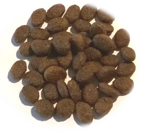 GRAIN FREE RABBIT AND PORK