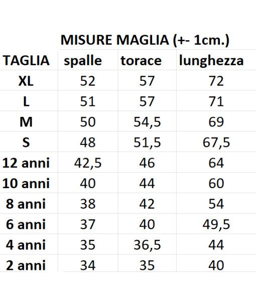 MAGLIA SOMMER INTER UFFICIALE 2024-2025 nr.1 ADULTO e BAMBINO